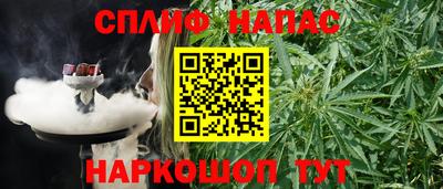 прущие грибы Краснодар