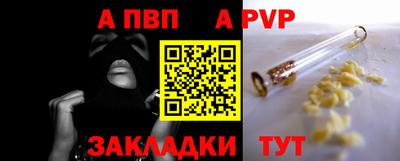 прущие грибы Краснодар