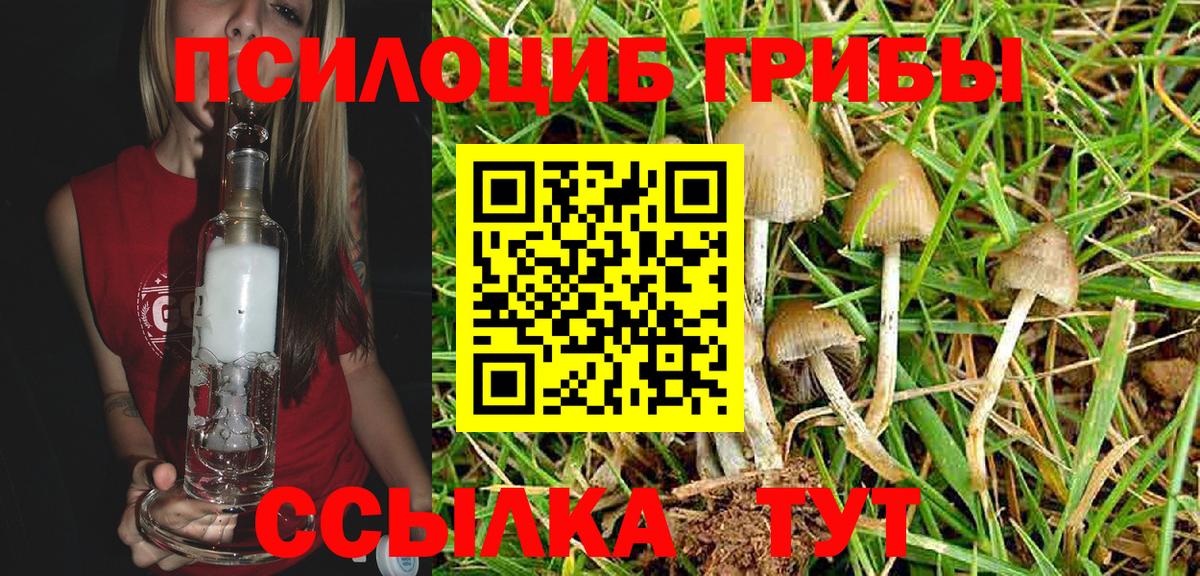 Галлюциногенные грибы GOLDEN TEACHER  Галлюциногенные грибы Psilocybe  Россошь  Вход с VPN 